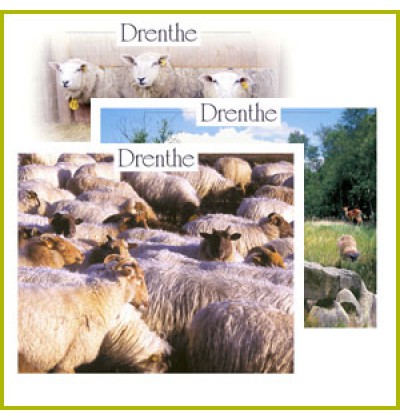 Drenthe postcards serie