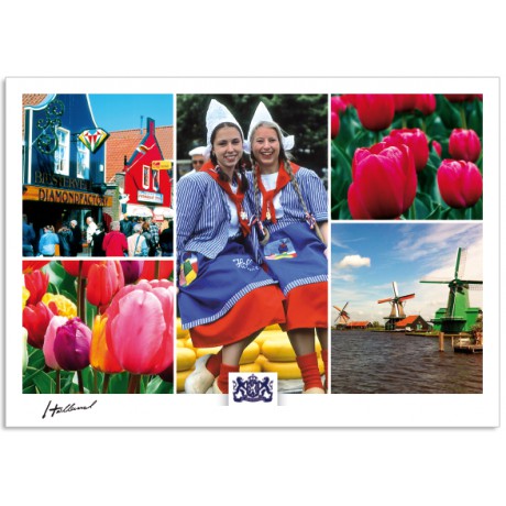 Holland houses tulips windmills