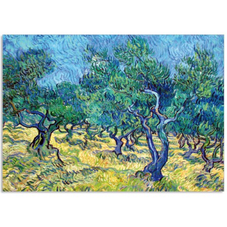 Art13 Olive Grove V. Gogh